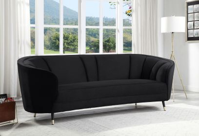 Achim Sofa w/2 Pillows; Black Velvet LV00203