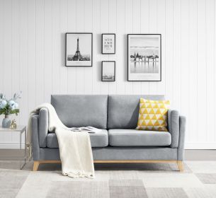 Modern and comfortable  fabric sofa with soft cushion and arm loveseat (Color: Grey)